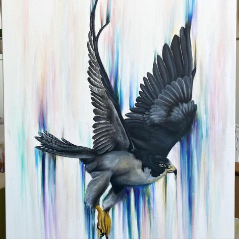 Katy Harmston’s Instagram profile post: “This Commission is now with its new owner! Fly High! This will be available as a print, let me know if you are interested. #falcon…” Peregrine Falcon Art, Falcon Artwork, Falcon Painting, Fly Painting, Falcon Art, Peregrine Falcon, Mini 8, Peregrine, Fly High