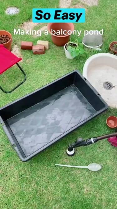 DIY Cute backyard Ideas - How to Build a Small Pond with Rice Fish and Aquatic Plants | cheap pool ideas budget #Outdoorideas #Cutebackyardideas #cutebackyard #homedecorideas #DIY Cheap Pond Ideas, Mini Koi Pond Ideas, Fish Tank Diy Ideas, Small Diy Pond Ideas, Fish Pool Garden, How To Make A Small Pond, Diy Small Fish Pond, Outdoor Turtle Habitat Diy Pond Ideas, Stock Tank Fish Pond Ideas