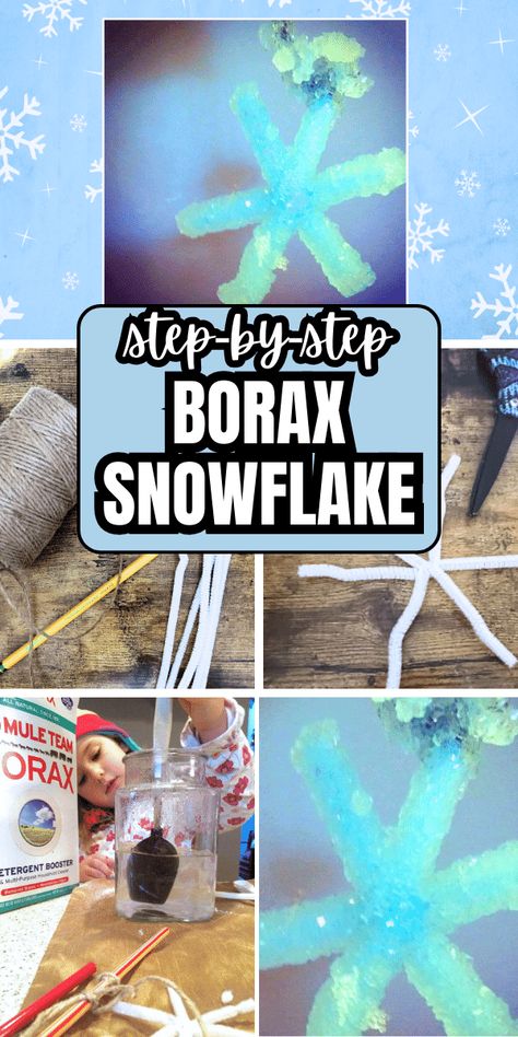 Winter Stem Activities For Kids, Snowflake Craft For Kids, Borax Snowflakes, Holiday Kids Activities, Snowflakes Science, Snowflakes For Kids, Winter Preschool Activities, Christmas Science Activities, Kids Science Projects