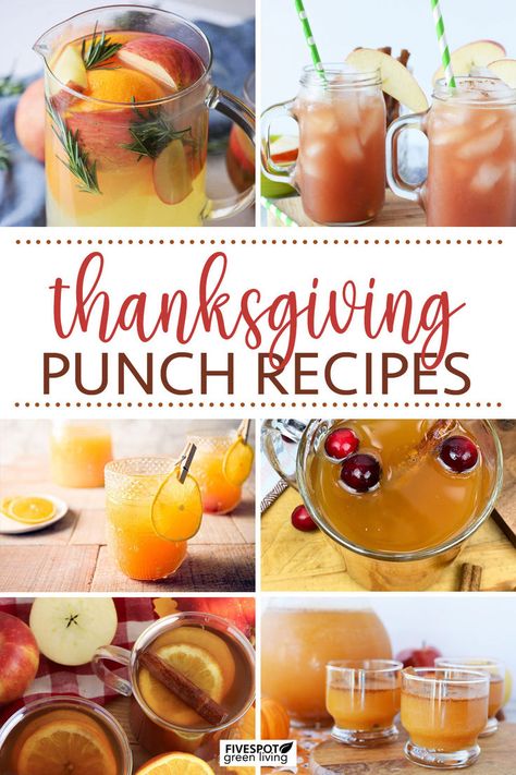 Thanksgiving Punch Recipes Thanksgiving Punch Recipes, Easy Thanksgiving Punch, Apple Cider Drinks, Fall Punch Recipes, Fall Punch, Making Apple Cider, Thanksgiving Punch, Apple Cider Drink, Alcoholic Punch Recipes