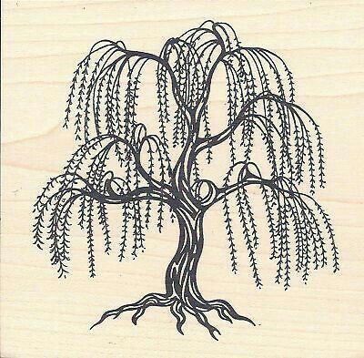 Tree Drawing Simple, Willow Tree Tattoos, Tattoo Tree, Weeping Willow Tree, Tree Tattoo Designs, Tree Sketches, Trendy Tattoo, Weeping Willow, Tree Roots