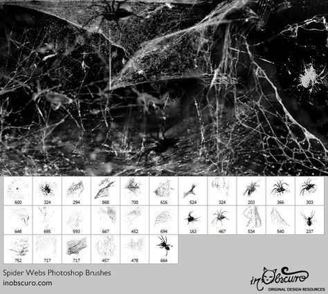 Free Adobe Photoshop brush set featuring spiders webs spiderwebs cobwebs orbwebs Spiders Webs, Procreate Downloads, Procreate Brushes Download, Spiderman Web, Best Procreate Brushes, Photoshop Brush Set, Photoshop Brushes Free, Illustrator Brushes, Procreate Brushes Free