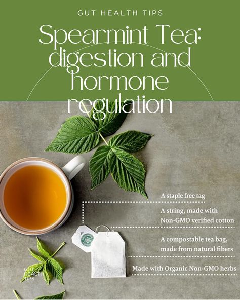 spearmint tea, wellness, gut health digestion, hormone regulation, skin, acne Hormone Regulation, Tea For Digestion, Spearmint Tea, Living Healthy, Gourmet Food, Herbal Tea, Gut Health, Bagpack, Natural Fibers