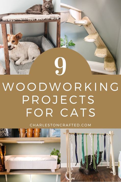 9 woodworking projects for cats Woodworking Projects For Pets, Cats Diy Projects Craft Ideas, Cat Home Diy, Pet Furniture Cat Diy Projects, Pet Diy Projects, Weekend Woodworking Projects, Cnc Machine Projects, Woodworking Plans Patterns, Pet Diy