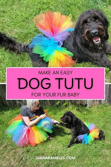 DIY Dog Tutu Tutorial Diy Dog Tutu No Sew, How To Make A Dog Tutu, Dog Tutu Diy, Diy Dog Outfits, Diy Dog Clothes, Tutu Pattern, Make A Tutu, Diy Tutu Skirt, Rainbow Costumes