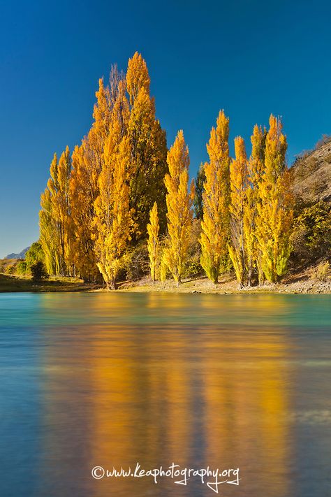 Nz South Island, Central Otago, Wallpaper Earth, White Cloud, South Island, Landscape Pictures, Autumn Landscape, Cool Countries, Water Views