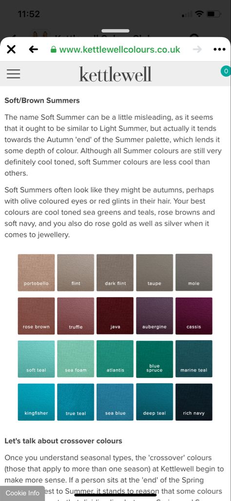 Dark Summer Color Analysis, Soft Summer Outfits For Fall, Soft Summer Deep Color Palette, Soft Summer Color Palette Outfits Capsule Wardrobe, Soft Summer Dark, Soft Summer Winter Outfits, Dark Summer Color Palette, Soft Summer Deep, Color Analysis Summer