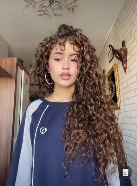 Curly Hair And Highlights, Wavy Hair Brown Highlights, Brunette Curly Hair Aesthetic, Ash Brown Hair Curly, Curly Hair Cuts Long Layers, Curly Chocolate Brown Hair, Curly Hair Colours, Latina With Curly Hair, Light Brown Curly Hair With Highlights