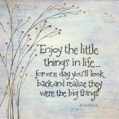 It's the simple things in life that matter most! Positiva Ord, Inspirerende Ord, Fina Ord, The Little Things In Life, Little Things In Life, Enjoy The Little Things, Inspirational Quotes Pictures, Words Worth, Big Things