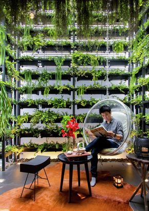 Gallery - Feature House / Apostrophy's - 3 Garden Ideas To Make, Vertical Garden Indoor, Vertical Vegetable Garden, Vertical Herb Garden, Vertical Farming, Vertical Garden Diy, The Residents, Indoor Herb Garden, House Design Photos