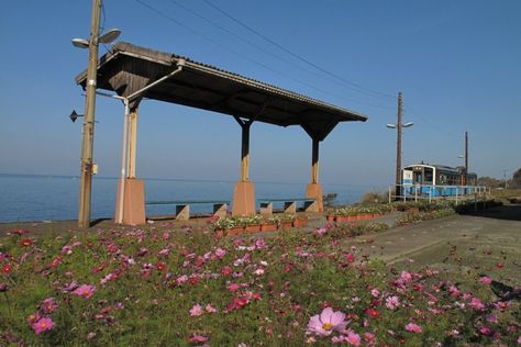 JR Shimonada Station｜What to See & Do｜Visit Ehime - Ehime Tourism Information Shimonada Station, Japan Tips, Ehime, Japanese Landscape, Shoot Film, Popular Movies, Tv Drama, Train Station, Book Covers