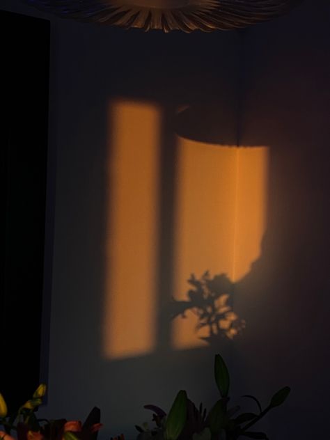 Wall Shadow Aesthetic, Wall Shadow, Shadow Aesthetic, Shadow Garden, Aesthetic Orange, Shadow Pictures, Orange Aesthetic, Beige Aesthetic, Light And Shadow