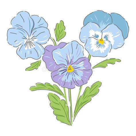 Pansy spring flower botanical hand drawn. Vector illustration isolated on white. Vintage romantic cottage garden pansies florals print vector illustration Pansy Flower Illustration, Hand Drawn Vector Illustrations, Romantic Cottage, Pansies Flowers, Hand Drawn Vector, Flower Illustration, Flower Shop, Pansies, Cottage Garden