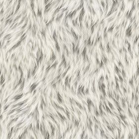 Textures Texture seamless | Animal fur texture seamless 09553 | Textures - MATERIALS - FUR ANIMAL | Sketchuptexture Wallpaper Fur, Fur Background, Fur Texture, Texture Seamless, Wool Textures, Animal Fur, Paper Background Texture, Free Textures, Paper Animals