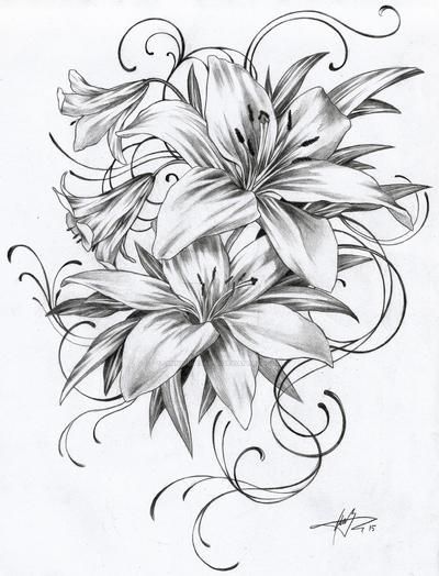 White Flower Tattoos, Tiger Lily Tattoos, Drawing Of Flowers, Black And White Flower Tattoo, Water Lily Tattoos, Lillies Tattoo, Lily Tattoo Design, Lilies Drawing, Lily Flower Tattoos