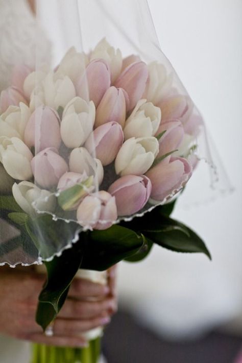 Tulip Bouquet Wedding, Tulip Bridal Bouquet, Pink Tulips Bouquet, Wedding Flowers Tulips, Fresh Tulips, Tulip Wedding, Spring Wedding Bouquets, Bridal Bouquet Flowers, Tulip Bouquet