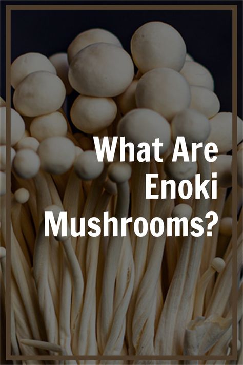 Enoki mushrooms are popular in East Asian cuisine, and many people love the unique flavor and texture these mushrooms add to a dish. Moreover, they are highly nutritious and have a range of potential health benefits.  Read on for our guide to enoki mushrooms, their therapeutic uses, and how to prepare them. We also outline some possible issues with enoki mushrooms and how to avoid them. Mushroom Health Benefits, Food Psychology, Functional Mushrooms, Gentle Nutrition, Enoki Mushrooms, Whole Foods Diet, Mushroom Benefits, Nature Gifts, Mushroom Crafts