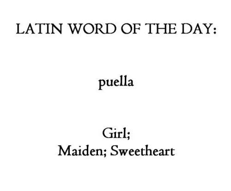 Latin Language Learning, Learn Latin, Word Definition, Latin Quotes, Latin Language, Latin Phrases, Word Nerd, Latin Word, Weird Words