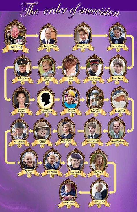 How Princess Eugenie's baby will push royals including Prince Edward down the line of succession Line Of Succession, Second Pregnancy, Princess Elizabeth, Duchess Of York, Princess Beatrice, Duke Of York, Princess Eugenie, British Monarchy, Royal Baby