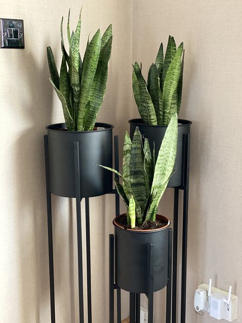 Beautiful black plant stands Black Plant Stand, Black Wall Shelves, Black Bathroom Decor, Small Garden Landscape, Plant Stands Outdoor, Bohemian Living Rooms, Furniture Design Chair, Dream Apartment Decor, Interior Plants