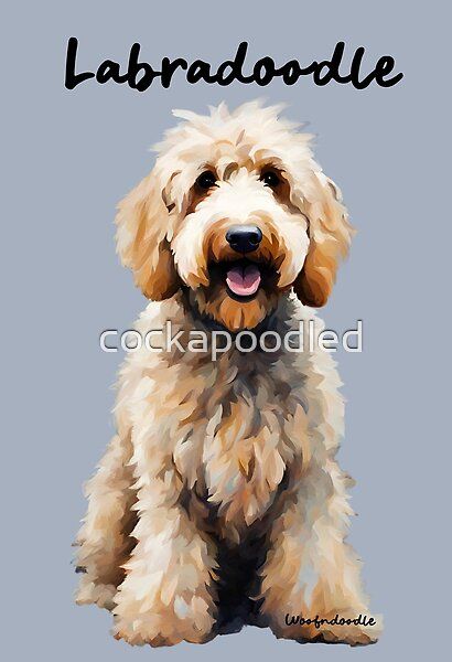 Blonde Labradoodle Doodle Dog by cockapoodled | Redbubble Blonde Labradoodle, Labradoodle Illustration, Labradoodle Painting, Labradoodle Drawing, Labradoodle Art, Chocolate Labradoodle, Labradoodle Dog, Labradoodle Dogs, Australian Labradoodle