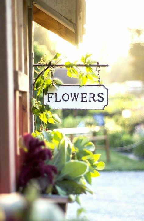 Florist Shop, Farm Stand, No Rain, Flower Quotes, Garden Shop, Flower Farm, Lily Flower, Flower Beauty, Flower Market