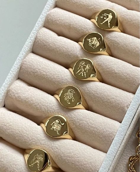 Aesthetic Wear, Signet Rings Women, Money Collection, Zodiac Rings, Jewelry Aesthetic, Basic Jewelry, Zodiac Jewelry, Finger Rings, Perfume Oils