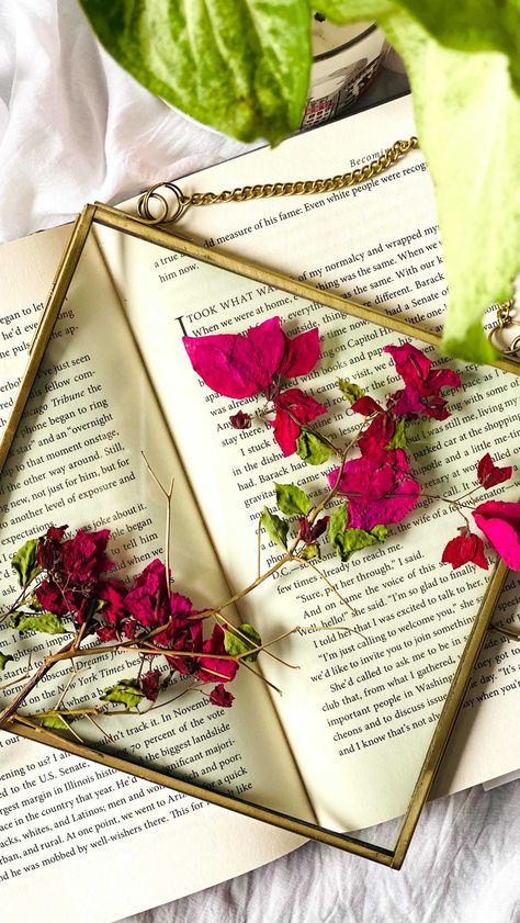 Pressed Bougainvillea, Therapeutic Art, Best Club, Art Trends, Flowers Art, Bougainvillea, Art Therapy, Instagram Video, Floating Frame