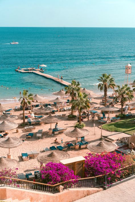 12 Best Things to Do in Sharm El Sheikh, Egypt Beach Holiday Destinations, Sharm El Sheikh Egypt, Red Sea Diving, Places In Egypt, Egypt Aesthetic, Best Scuba Diving, The Red Sea, Sharm El Sheikh, Beautiful Mosques