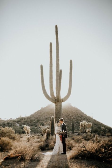 Haunting Wedding, Desert Weddings, Alta Moda Bridal, Cactus Wedding, Modest Wedding Dress, Boho Bridal Gowns, Long Bell Sleeves, Desert Oasis, Modest Wedding