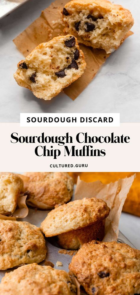 Are you looking to make something lightly sweet and chocolatey with your sourdough starter discard? These sourdough discard muffins with chocolate chips only take 40 minutes to make! Enjoy these chocolate chip muffins with melty butter and a glass of milk. Discard Muffins, Sourdough Discard Muffins, Homemade Chocolate Chip Muffins, Sourdough Discard Recipe, Healthy Chocolate Chip Muffins, Sourdough Starter Discard, Oatmeal Chocolate Chip Muffins, Sourdough Muffins, Desserts With Few Ingredients