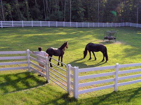 Horse Pasture Ideas Fencing, Paddocks For Horses, Horse Paddocks, Beautiful Farms, Horse Field, Horse Pasture, Horse Farm, Horse Paddock, Big Farm