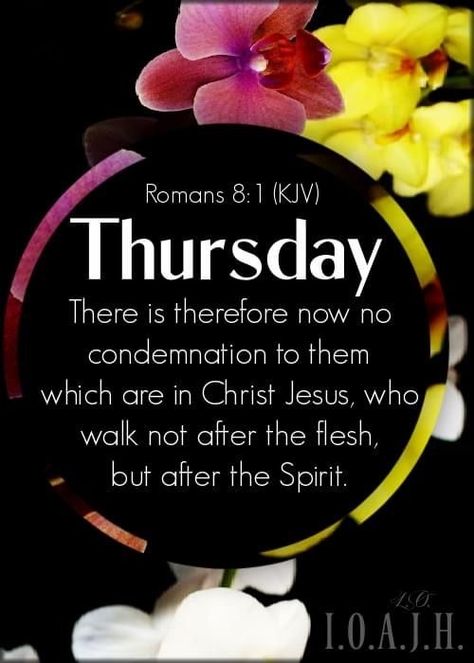 Thursday Blessings Scriptures, Thursday Images, Thursday Blessings, Thursday Quotes, Pictures Of Jesus Christ, Thursday Morning, King James Bible, Morning Blessings, Jesus Pictures