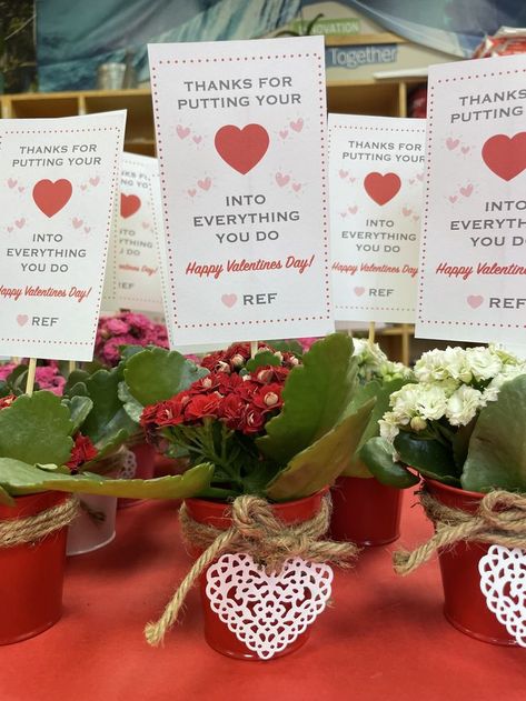 Valentines Day Plant for teachers. teacher appreciation. february teacher gift. Flowers in tin pot. Valentines Day Teacher, Daycare Teacher Gifts, Appreciation Gifts Diy, Teacher Appreciation Gifts Diy, Teacher Valentine Gifts, Gift Flowers, Teacher Appreciation Cards, Teacher Birthday, Staff Gifts