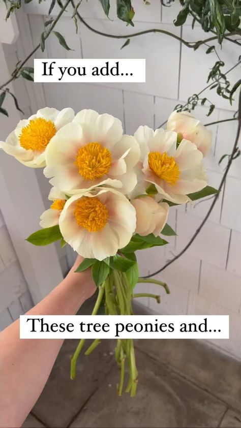 Clooney Ranunculus, Ranunculus Orange, Whimsical Boho Wedding, Orange Dahlias, Tree Peonies, Type Of Flowers, Juliet Rose, Biltmore Wedding, Stephen Sanchez