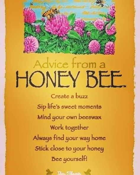 Quotes About Bees, Bee Quotes, I Love Bees, Dekor Diy, Life Quotes Love, Bee Decor, Advice Quotes, Save The Bees, Bee Happy