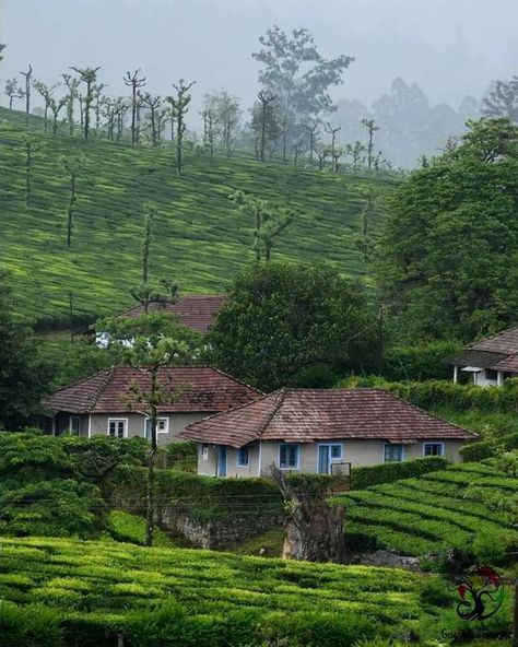 📍 #india #visitindia #indiatourism #indiatrip #travel #photography #artandall #architecture Kerla Love Photography, Valparai Photography, South Indian Village, Indian Countryside, Village Photo, Japanese Pop Art, Hillside House, Village Photos, Ganesh Photo