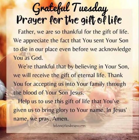 Thankful Tuesday Blessings, Tuesday Prayers And Blessings, Prayers For Thanksgiving, Tuesday Blessings Inspiration, Short Thanksgiving Prayer, Tuesday Morning Blessings, Tuesday Prayer, Thanksgiving Prayers, Good Morning Prayer Quotes