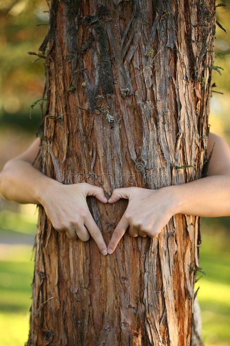 Image St Valentin, Hug Life, Tree Hugger, New Forest, Shooting Photo, Jolie Photo, The Shape, Mother Earth, A Tree