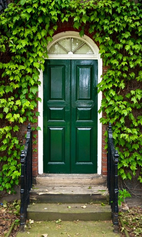 Behind The Green Door, Front Door Planters, Double Door Entrance, Front Door Paint Colors, Gorgeous Doors, Shoreditch London, Door Paint Colors, Green Gate, Door Entryway