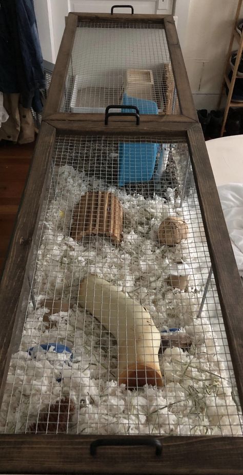 Detolf Hamster Cage Lid, Ikea Detolf Hamster Cage, Diy Hedgehog Cage, Detolf Hamster Cage, Hamster Room, Hamster Homes, Hamster Tank, Hamster Enclosure, Hamster Diy Cage