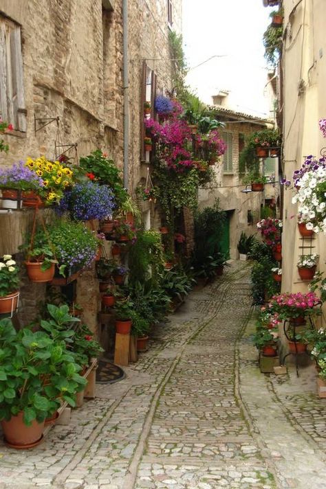 Spello, il borgo dei fiori! Italia Alleyway Garden, Italy Flowers, Orvieto Italy, Stone Buildings, Italy Beautiful, Umbria Italy, San Francesco, Beautiful Streets, Beautiful Villages