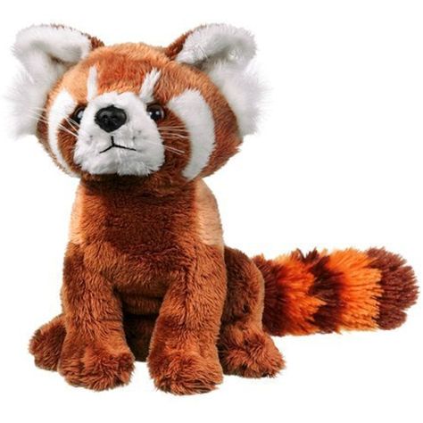 Red Panda Plush, Panda Stuffed Animal, Panda Plush, Baby Posters, Wildlife Artists, Pets For Sale, Teddy Bear Plush, Red Panda, Bear Plush