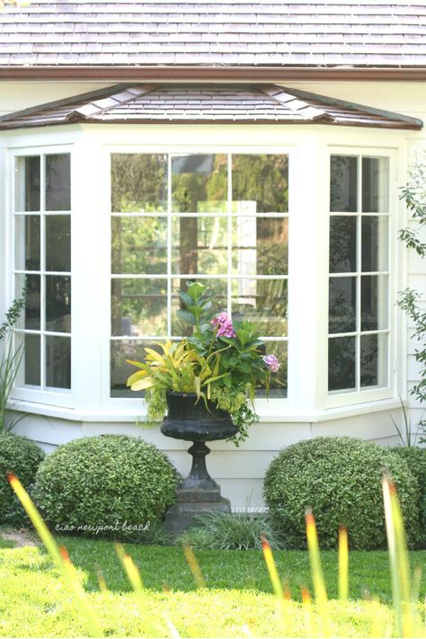 Bay Window Bump Out Addition, Cottage Large Windows Exterior, Bay Window Outside Landscaping, Palladian Window Exterior, Cottage Bay Window Exterior, Cottage Pane Windows, Crittle Windows Exterior, Window Bump Out, Porch Curb Appeal