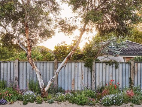 How to make a small suburban garden, and the surrounding street, a truly magical space, with Super Bloom’s Jac Semmler Suburban Garden, Super Bloom, Small Garden, In The Middle, The Middle, Floral