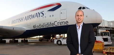 Prince William Jets Off To Africa On Specially Branded Aircraft Edinburgh Military Tattoo, Prince William And Catherine, Duke Of Cambridge, British Airways, Heathrow, British Royalty, Private Jet, Buckingham Palace, British Royal Family