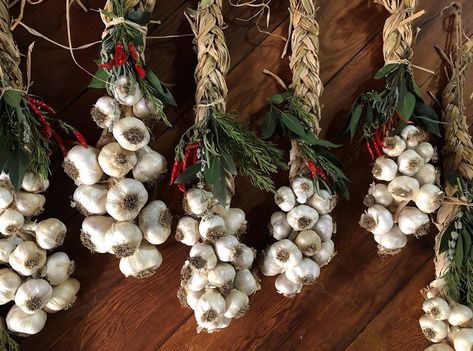 Garlic Wreath, Garlic Braid, Garlic Harvest, Dried Garlic, Harvesting Garlic, Dried Plants, Amaryllis Flowers, Farm Store, Dried Flower Wreaths