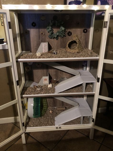 After 3 days of hard work, my dad finally finished this custom cage for my sweet hedgehog Pygmy Hedgehog Cage, Hedgehog Cage Ideas, Hedgehog Pet Cage, Hedgehog Room, Hedgehog Habitat, Hamster Diy Cage, Hedgehog Care, Pet Hedgehog, Hedgehog Cage