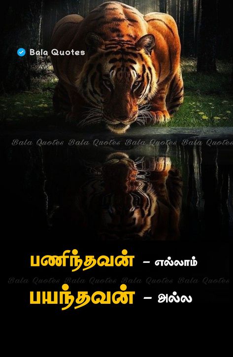 Gethu Quotes Tamil, Gethu Dialogue Tamil, Dialogue Tamil, Dialogue Images, Happy Birthday Photo Editor, Image Joker, Love Profile Picture, Tamil Kavithai, Motivational Quotes For Men