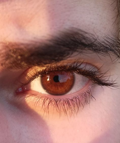 Russet Eyes Color, Reddish Brown Eyes, Russet Eyes, Russet Brown Eyes, Red Brown Eyes, Mens Short Hair, Amber Eyes Color, Hooked Nose, Brown Eyes Aesthetic